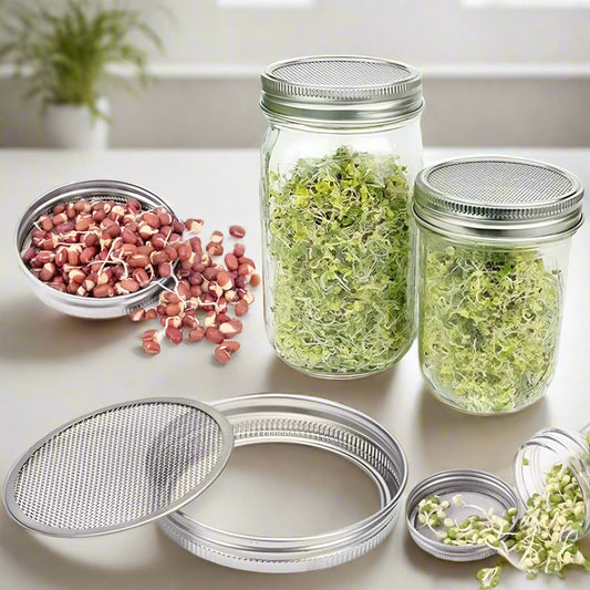 Glass jars with metal lids containing sprouts and seeds on a white background