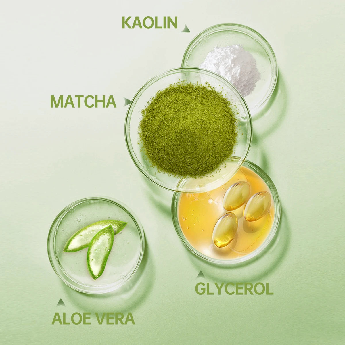 Various skincare ingredients in glass bowls on a light green background