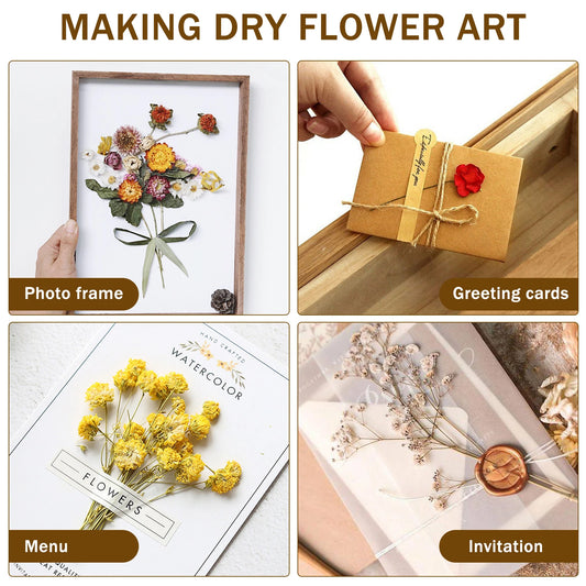 Collage of making dry flower art with photo frame, greeting cards, menu, and invitation.