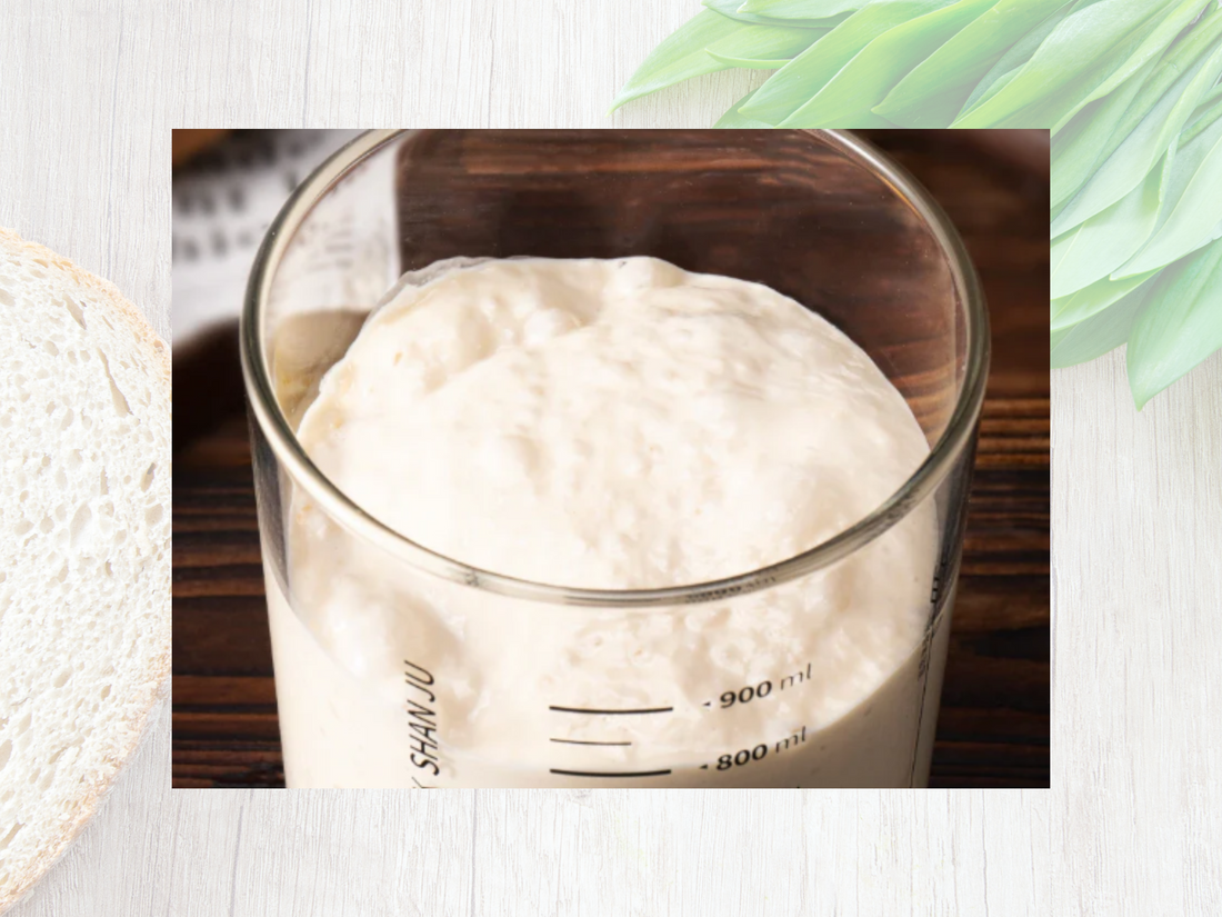 🌿 How to Create Your Own Sourdough Starter