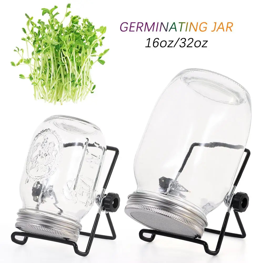 Two clear germinating jars with stands and sprouts on a white background