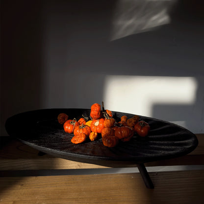 Fermented tomatoes on a black plate with a white 'F' in the background