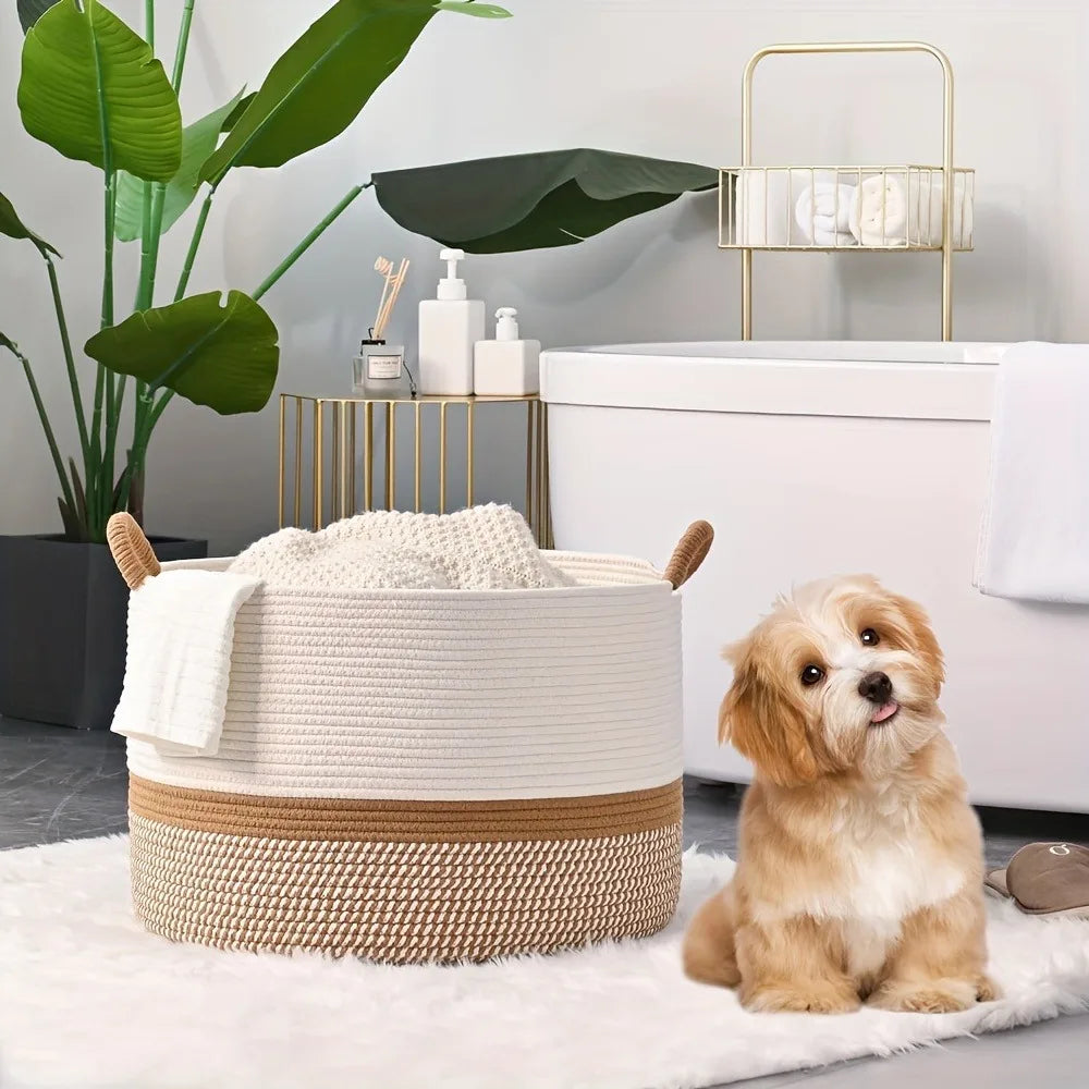 Dog sitting next to a white and brown woven basket in a modern living room.