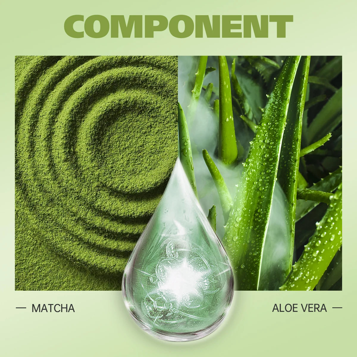 Green tea powder, aloe vera leaf, and a droplet of aloe vera juice on a light green background with 'COMPONENT' text.