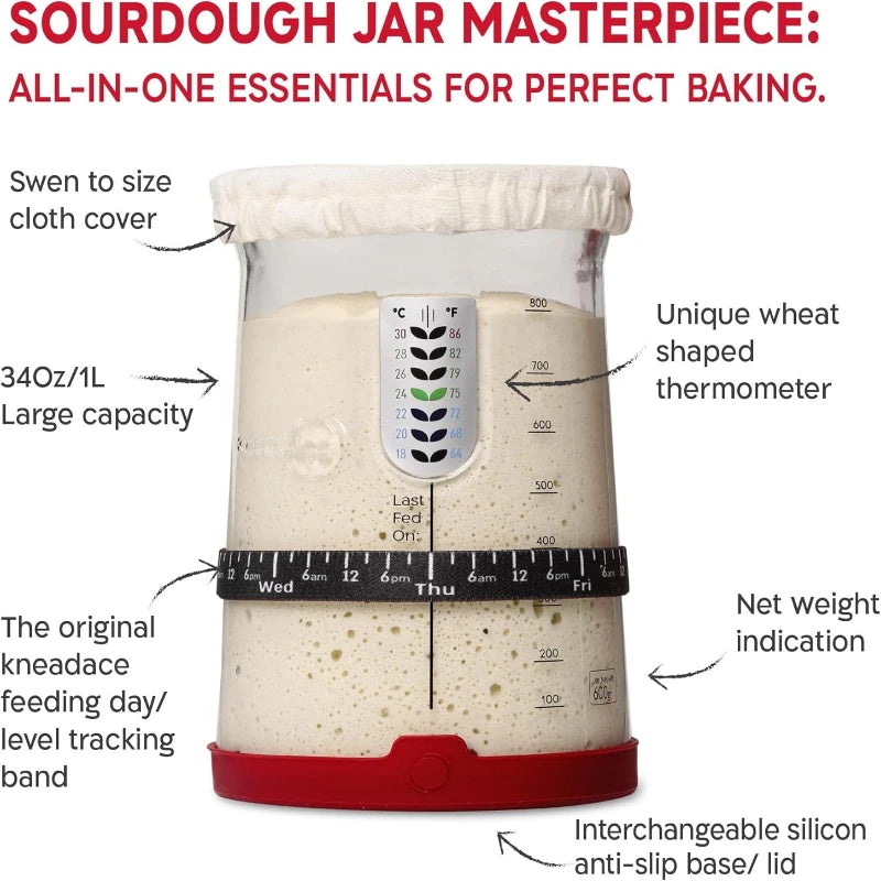 Sourdough jar with features highlighted on a white background