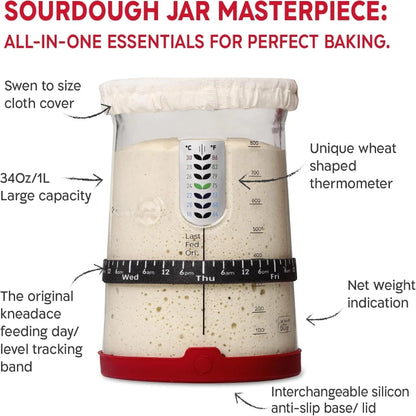 Sourdough jar with features highlighted on a white background