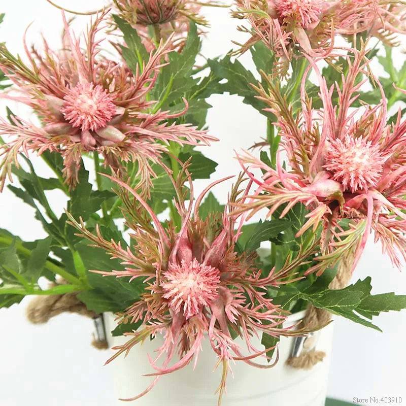 Close-up of pink thistle-like flowers with green leaves on a white background