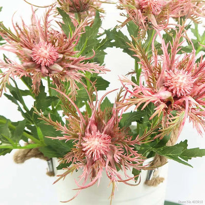 Close-up of pink thistle-like flowers with green leaves on a white background