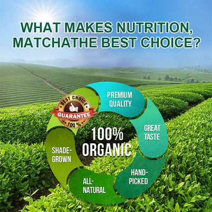 what makes nutrition, matcha the best choice