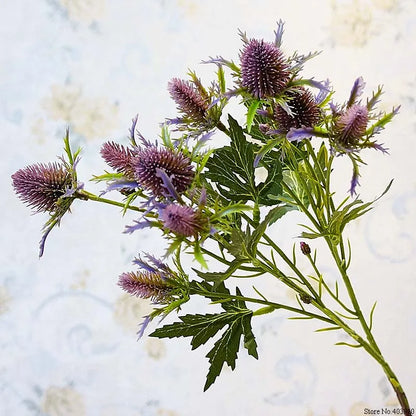 Purple thistle flowers with green leaves on a light background