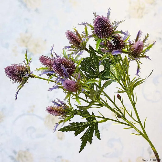 Purple thistle flowers with green leaves on a light background