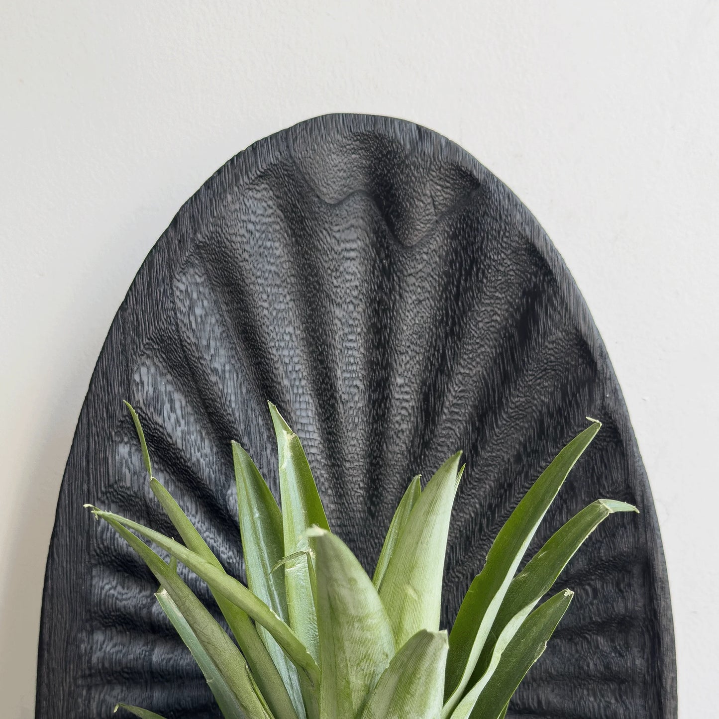 Decorative wall art with a textured black shell design and green plant leaves.