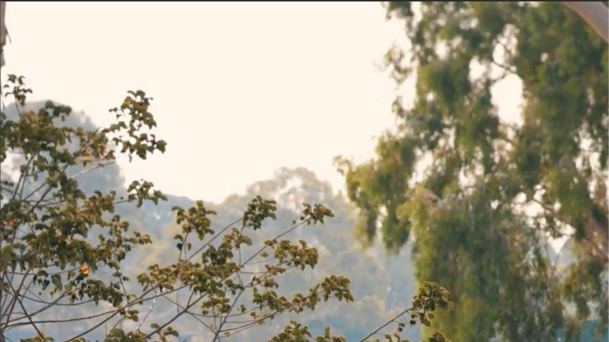 Load video: FitNest Living Co. Homeware &amp; Lifestyle Brand